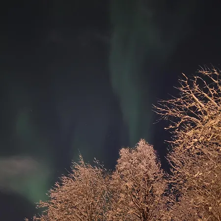 Cozy House With Private Garden * 트롬쇠